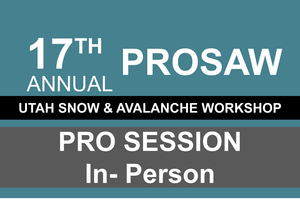 17th Annual Professional Snow and Avalanche Workshop (PROSAW)