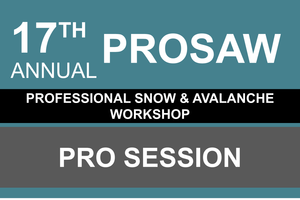 17th Annual Professional Snow and Avalanche Workshop (PROSAW)