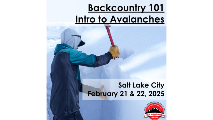 Backcountry 101: Introduction to Avalanches | Salt Lake City | February 21 & 22, 2025 - Private