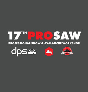 17th Annual Professional Snow and Avalanche Workshop (PROSAW)