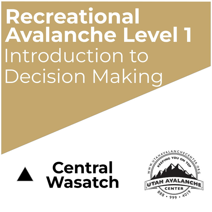 Recreational Avalanche Level 1 - January 12-14, 2024 | Prival USA - PRIVATE