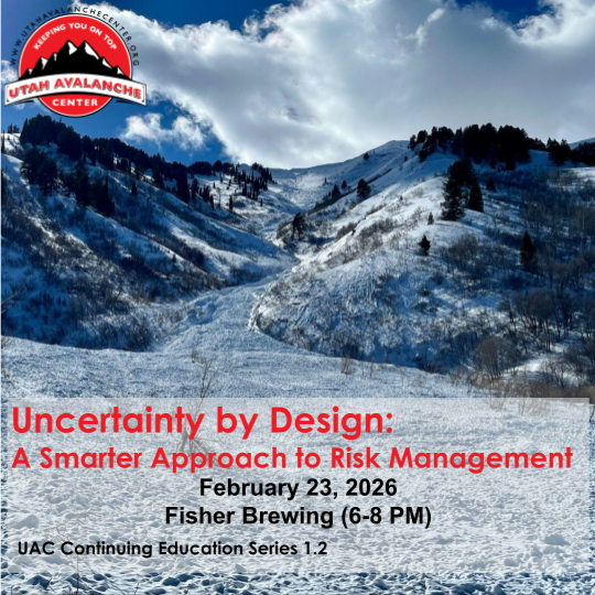 Uncertainty by Design: A Smarter Approach to Risk Management