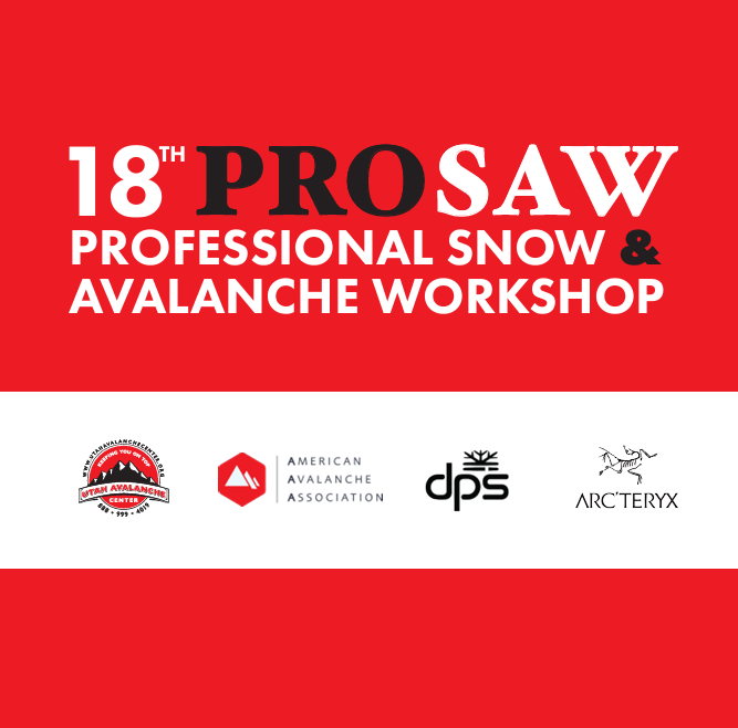 18th Annual Professional Snow and Avalanche Workshop (PROSAW)