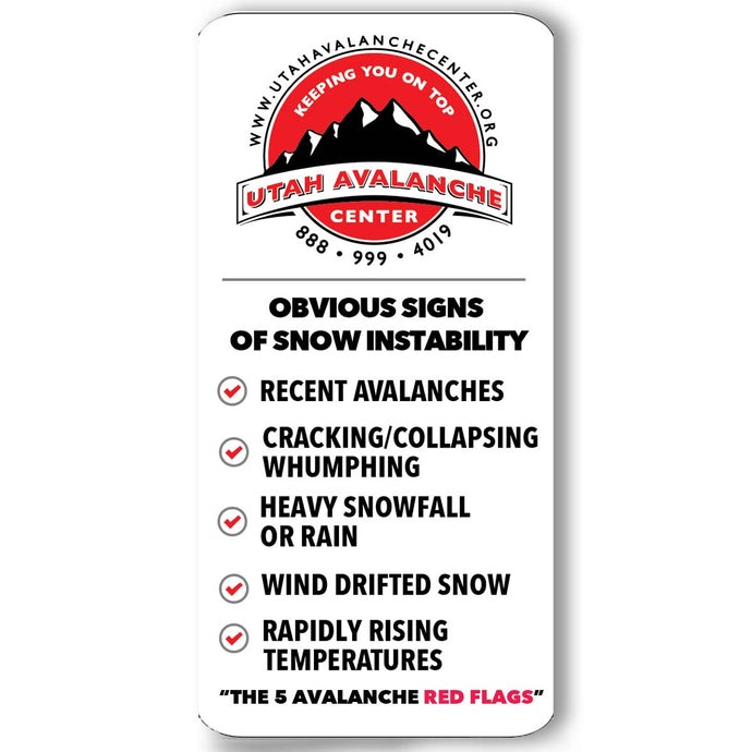 Avalanche Safety Sticker